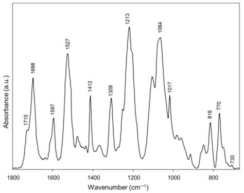 ATR-FTIR Analysis of Orthodontic Invisalign® Aligners Subjected to ...