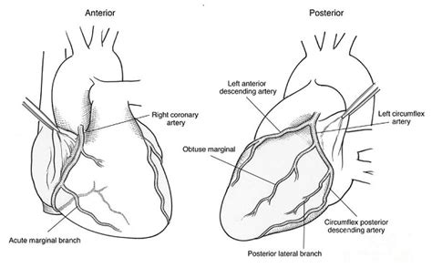 lis.cityxrayclinic.com - /CityLab/Uploads/