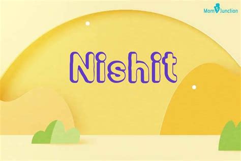 Image result for Python Nishit