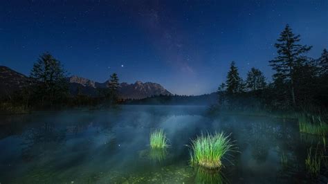 Canon EOS R3 vs EOS R5 的图像结果