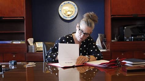 Veto 的图像结果