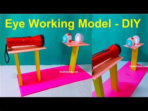 Image result for Science Eye Projects Tutorial