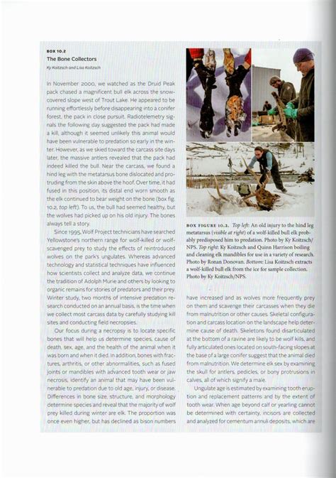 Image result for Yellowstone Wolves Book