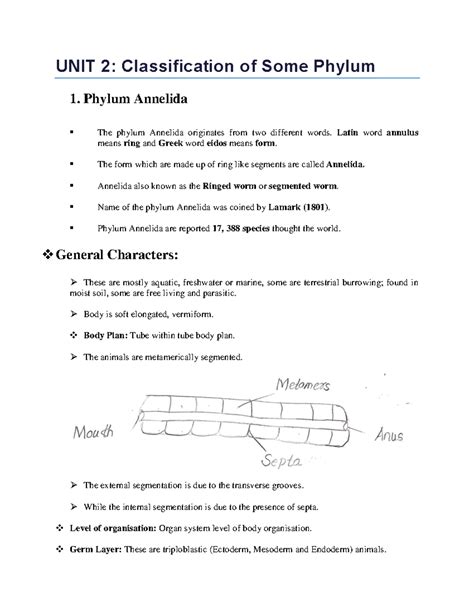 Unit 2.1 Phylum Annelida - UNIT 2: Classification of Some Phylum 1. Phylum Annelida The phylum ...