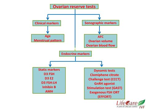 Ovarian Reserve Testing in Infertility Dr. Jyoti Agarwal Dr. Sharda Jain | PPTX
