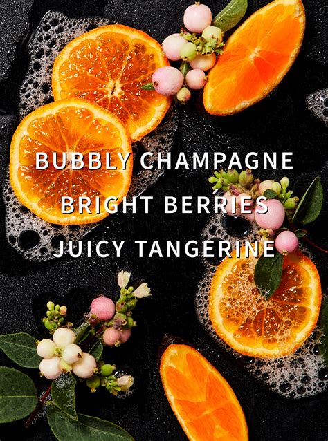 Champagne Toast Laundry Detergent – White Barn – Bath Body Co: Body ...