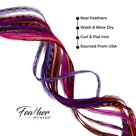 Seasonal and Holiday Collection - Fall Collection of Hair Feather ...