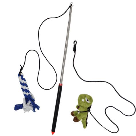 Flirt Pole for Dogs: Complete Guide to a Life-Changing Toy | Pupford