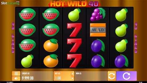 Wild Hot 40 slot guide explaining gameplay mechanics, features, and payouts