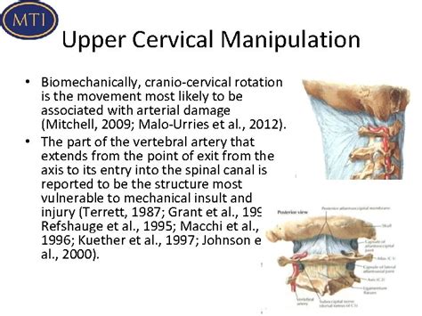 Image result for Motor Control Cervical Rotation