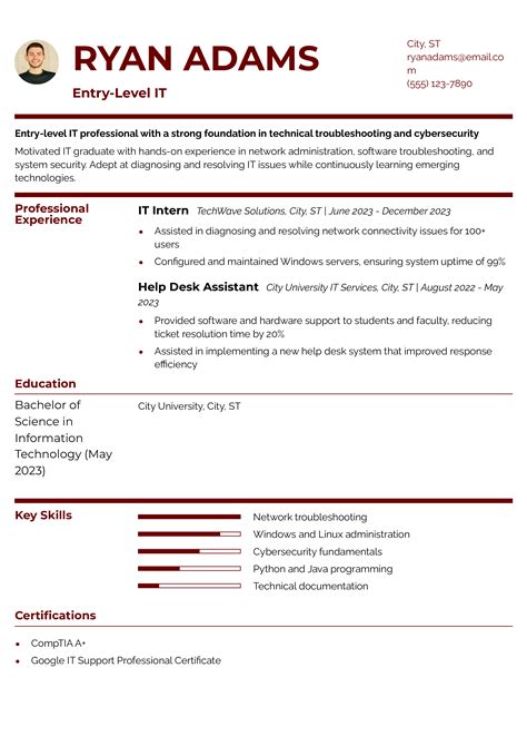 Resume Summary Examples Information Technology 的图像结果