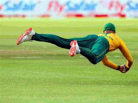 Miller made a diving catch with one hand | મિલરે એક હાથે ડાઇવિંગ કેચ ...
