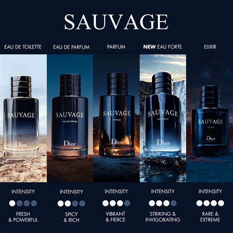 DIOR Sauvage DIOR SAUVAGE EDP60 | The Perfume Shop