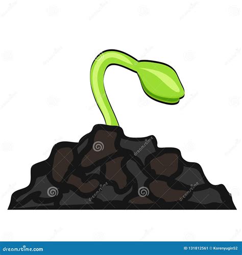 Seed Growing Cartoon 的图像结果