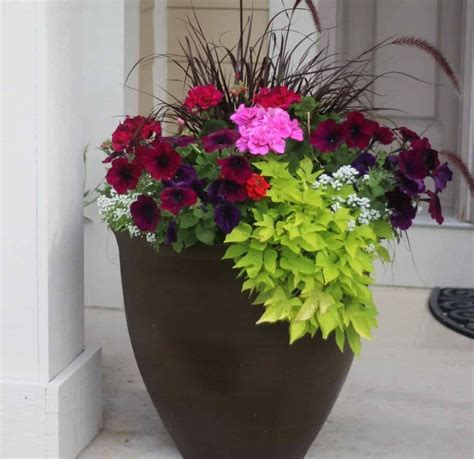 How to plant flower pots | Patio flower pots, Patio flowers, Large ...