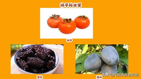 蔬菜水果图片免费下载_PNG素材_编号14nik7wlz_图精灵