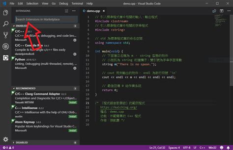 Code Runner Setup 的图像结果