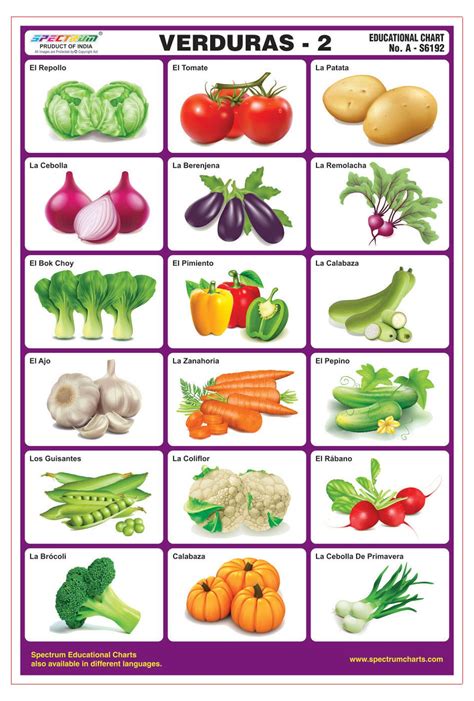 Buy Spectrum Spanish Language Vegetables-2 Educational Laminated Kids ...