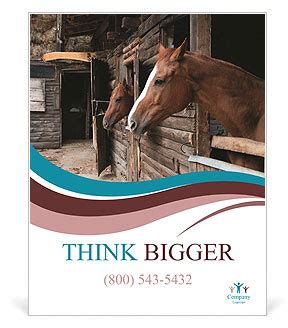 Stable Course Poster 的图像结果