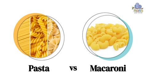 Types Of Pasta Macaroni at Justin Conway blog