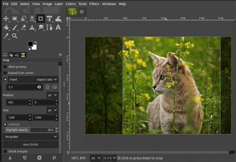 Image result for Install GIMP Tutorial