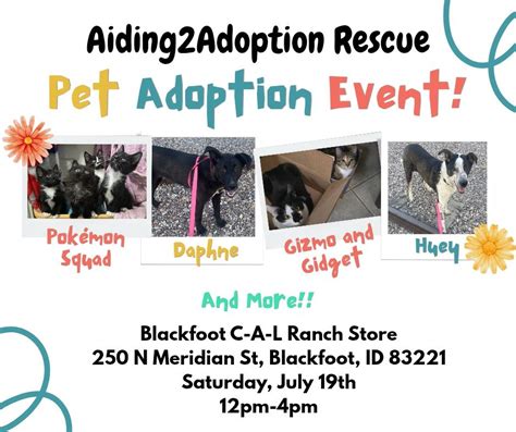 A2A Rescue and C-A-L Ranch Adoption Event, C-A-L Ranch Stores ...
