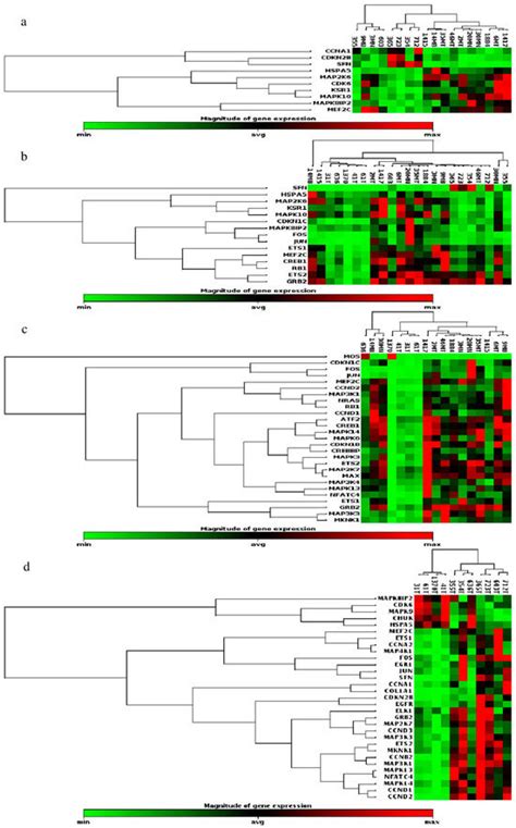 Molecular Markers for Thyroid Cancer Diagnosis: Insights from MAPK ...