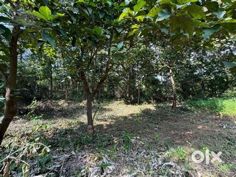 Corner Plot with sanad and clear title for sale 230 Sqm - Lands & Plots ...