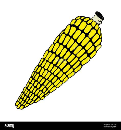 Corn Cob Clip Art