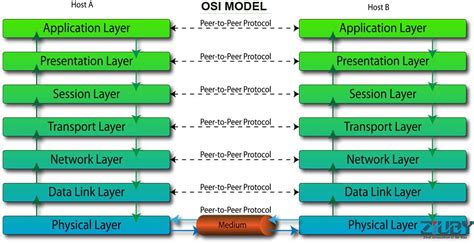 OSI Model 的图像结果