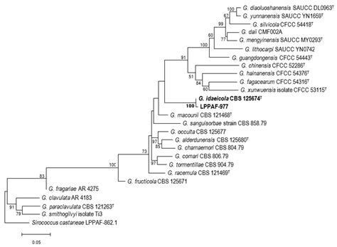 Shoot Dieback in Thornless Blackberries in Northern Spain Caused by ...