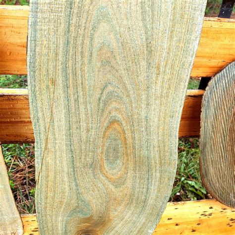 Lignum Vitae | The Wood Database (Hardwood)