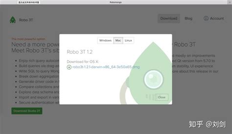 MongoDB Tutorial Mac 的图像结果