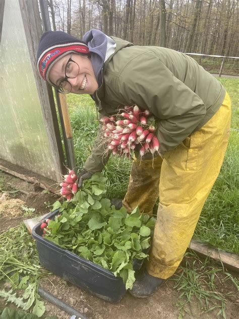 Blog – Orchard Hill Farm