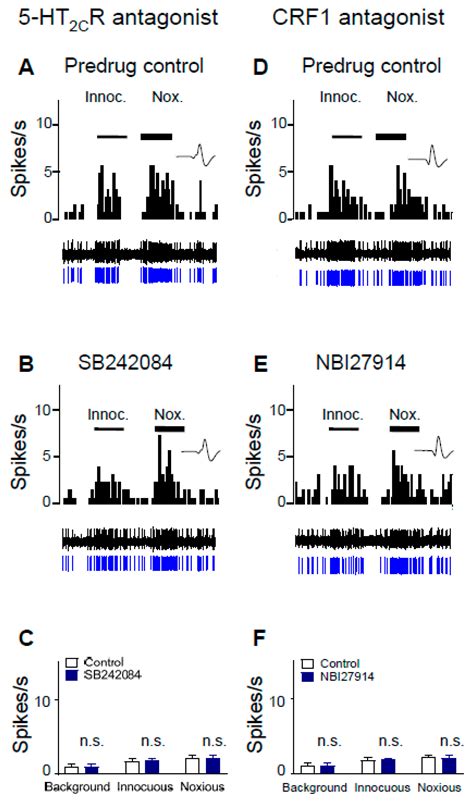 Contribution of Corticotropin-Releasing Factor Receptor 1 (CRF1) to ...