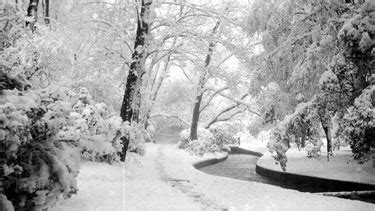 Searching Picture Sheffield