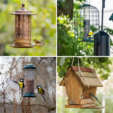 Types of Bird Feeders to Attract Birds to Your Backyard