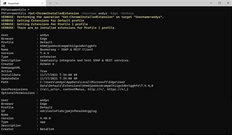 PowerShell Script Extension 的图像结果