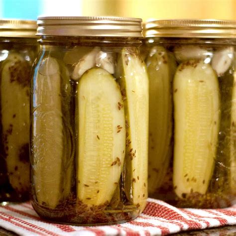 Favorite Kosher Dill Pickles Recipe - Lana's Cooking