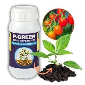 Sushila AgroFert P-Green PSB Biofertilizer 250 ml – Phosphate ...