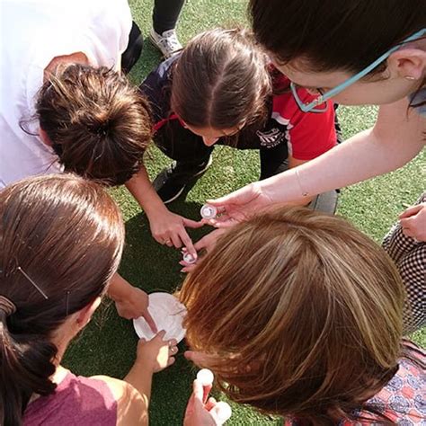 Science Experiments at Home Rock Candy 的图像结果