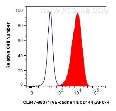 VE-cadherin/CD144 antibody (CL647-98071) | Proteintech