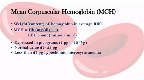 RBC Indices- MCV, MCH, MCHC II Blood Physiology | PDF