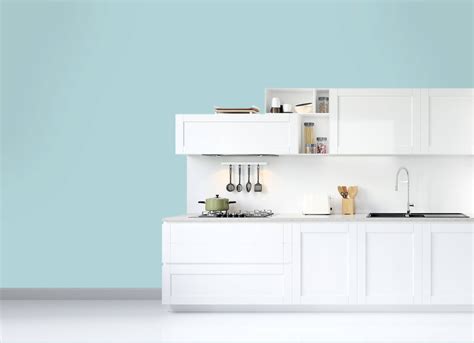 Indian Roller Bird | JSW Paints