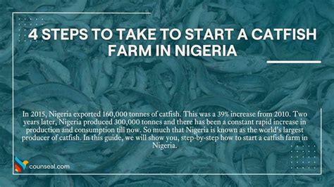 Image result for Catfish Farming Tips