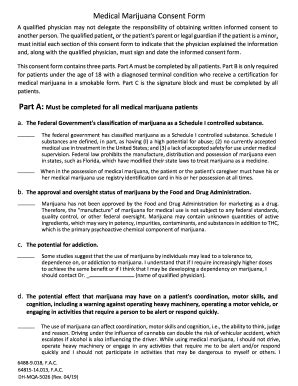 FL Consent Form 2019 - Fill and Sign Printable Template Online