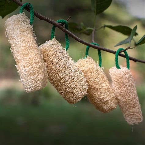 EcoFreaky Natural Loofah