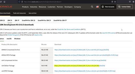 How to Install Java 21 On Ubuntu 的图像结果