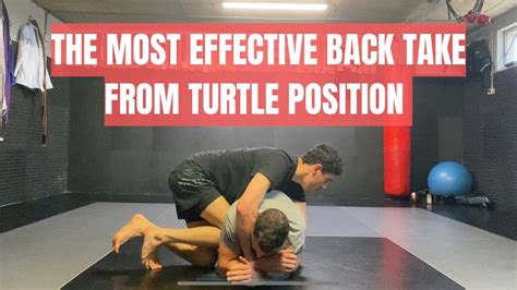 Image result for Turtleback Position