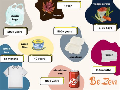 Biodegradable Vs. Compostable — The Difference And Why It Matters in ...